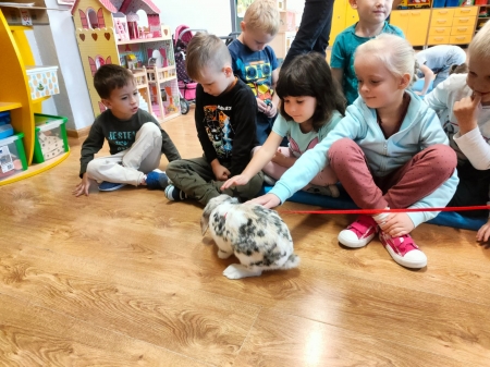 Przedszkolaki świętują Światowy Dzień Zwierząt